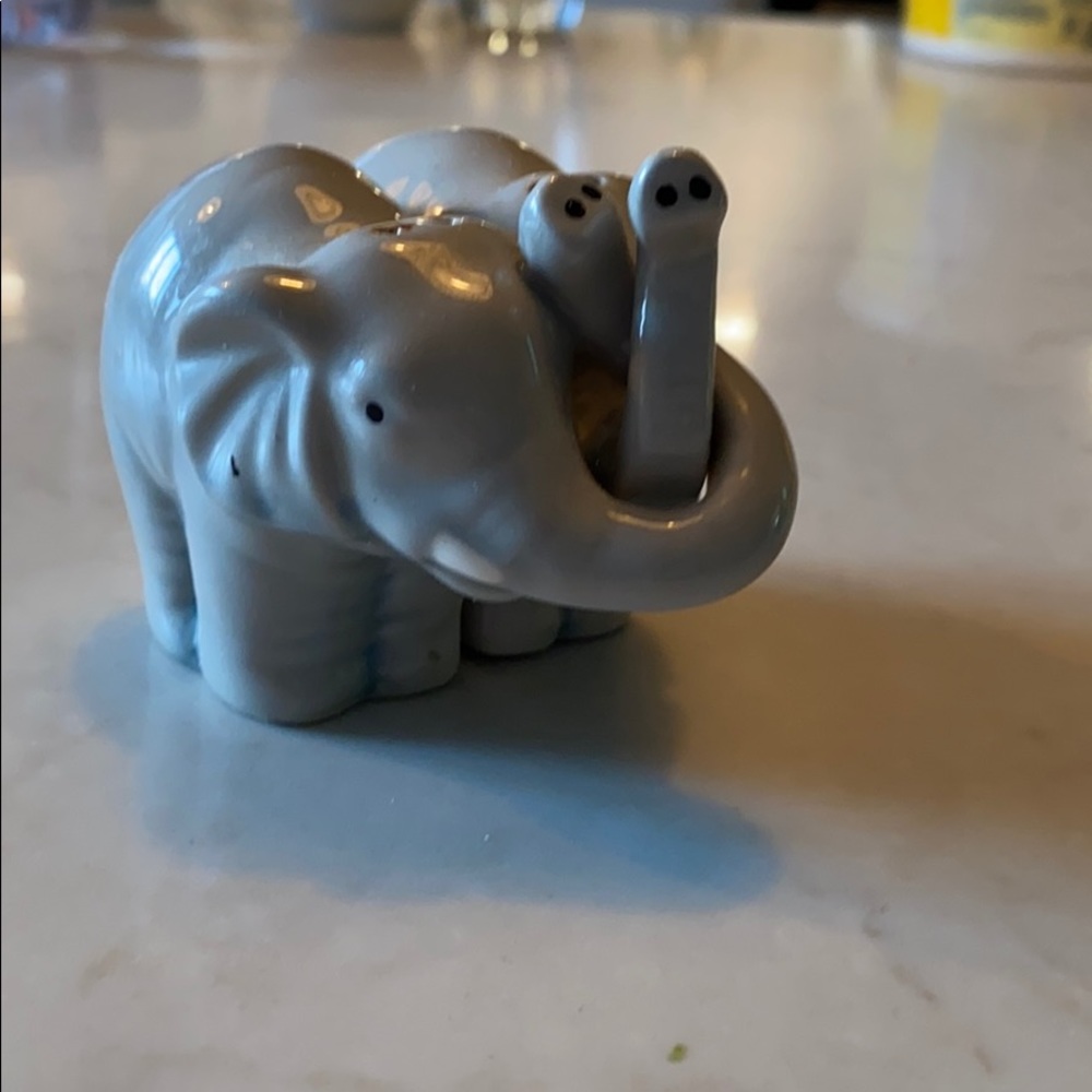 Elephant salt and pepper